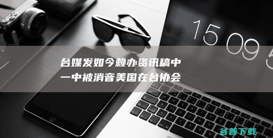 台媒发如今赖办资讯稿中 一中 被消音 美国在台协会 新处长提 (台湾赖是什么意思)